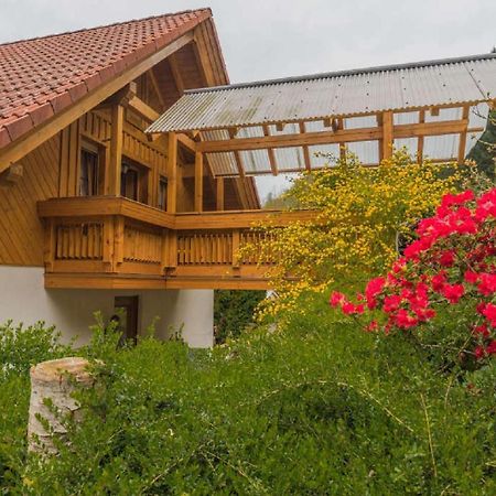 Апартаменты Haus Sigmund Оберхармерсбах Экстерьер фото