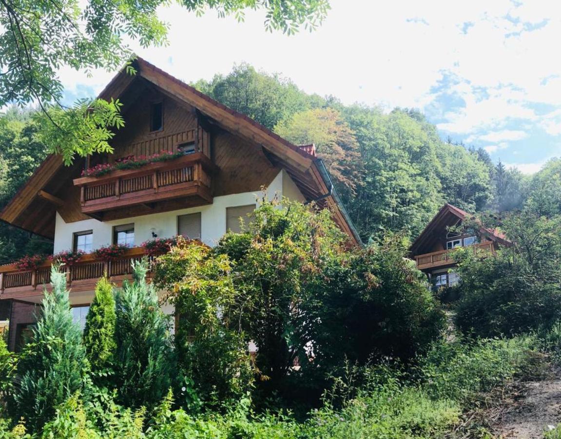 Апартаменты Haus Sigmund Оберхармерсбах Экстерьер фото
