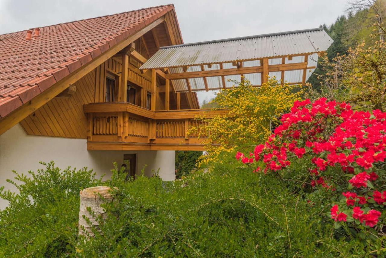 Апартаменты Haus Sigmund Оберхармерсбах Экстерьер фото